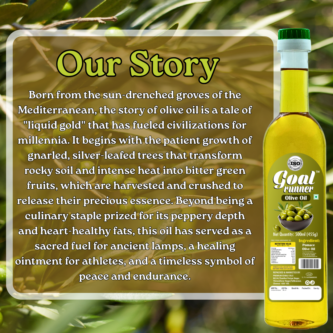 pomace olive oil rich in MUFA low saturated fat daily use oil